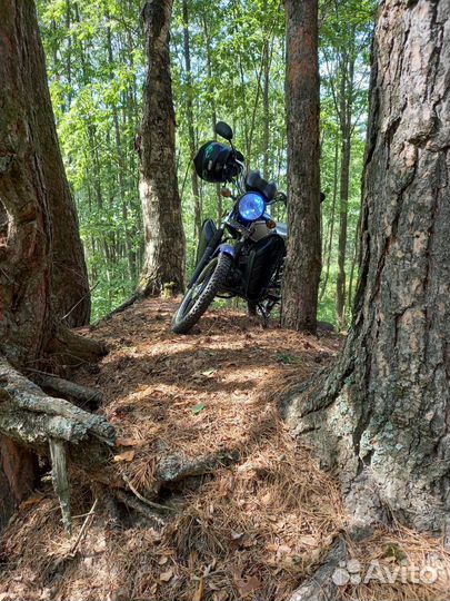 Продам альфу рх 110