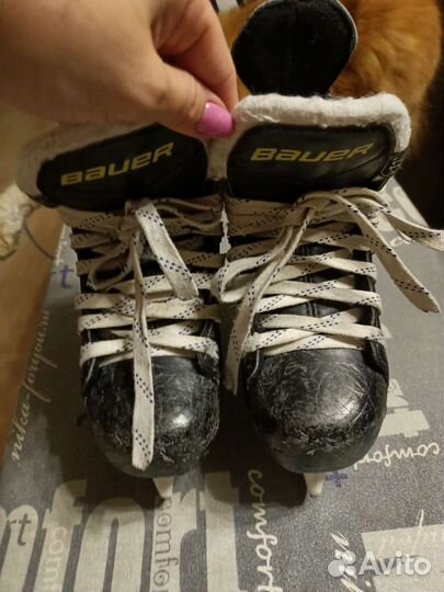 Хоккейные коньки bauer