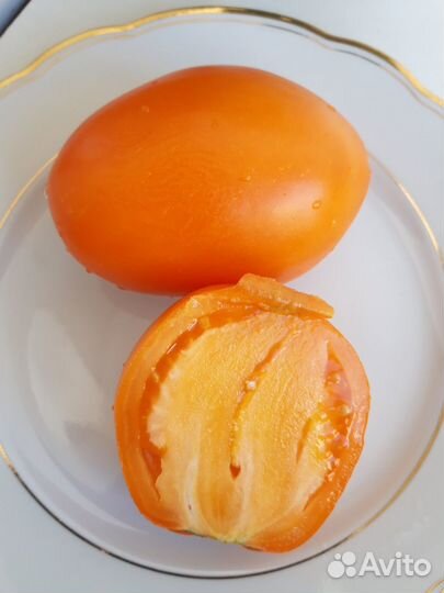 Cемена коллекционных томатов