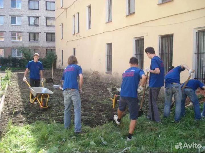 Разнорабочие