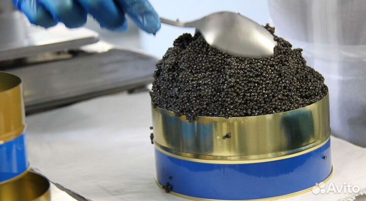 Малосол черная икра