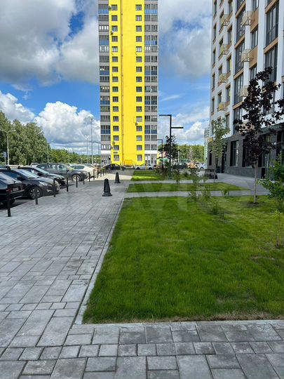 Торговая площадь, 55.2 м²