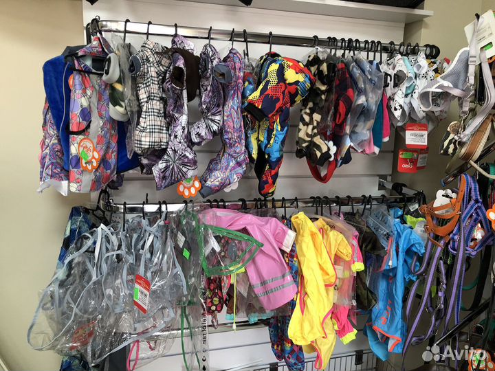 Одежда для собак