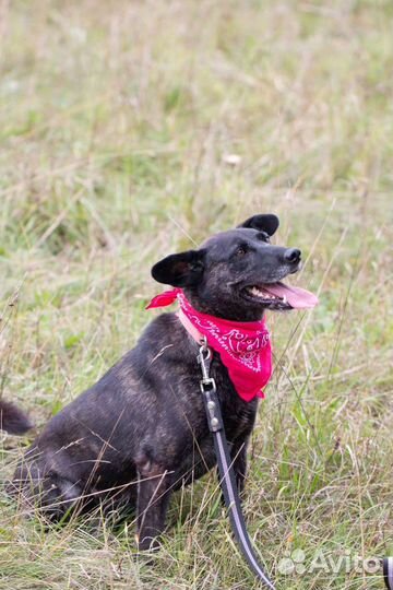 Ласкуша Сабрина в дар