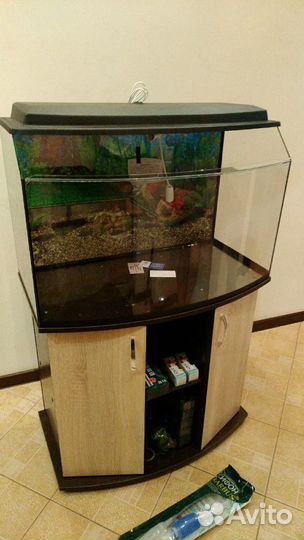 Аква Террариумы на заказ