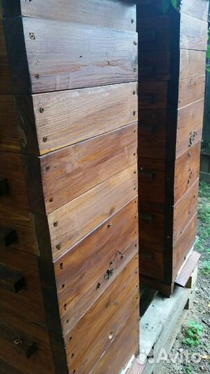 Улья Варре с пчелосемьями