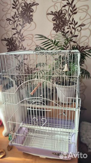 Клетка для попугая бу