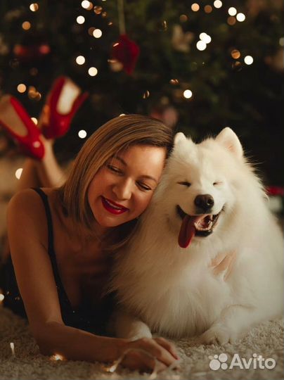 Новогодняя фотосессия 09.12