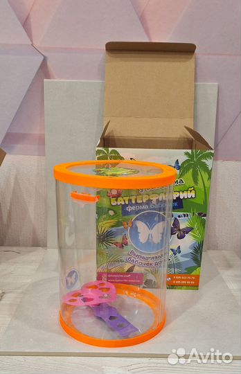 Баттерфлярий (бабочкарий) для бабочек