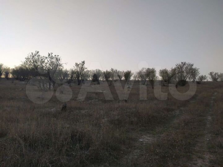 Участок 1,28 га (СНТ, ДНП)