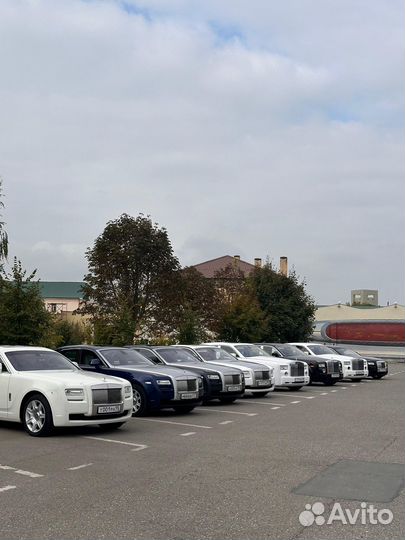 Прокат авто rolls-royce