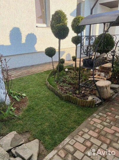 Рулонный газон 