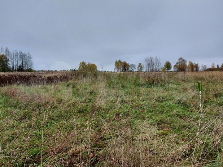 Участок 35 сот. (ИЖС)