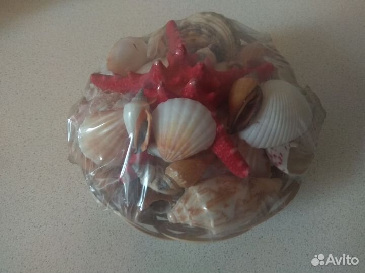 Раковины для аквариума / поделок