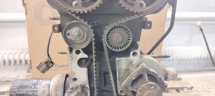 Двигатель Ford Focus 1 eddb 2.0L Zetec-E