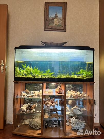 Аквариум