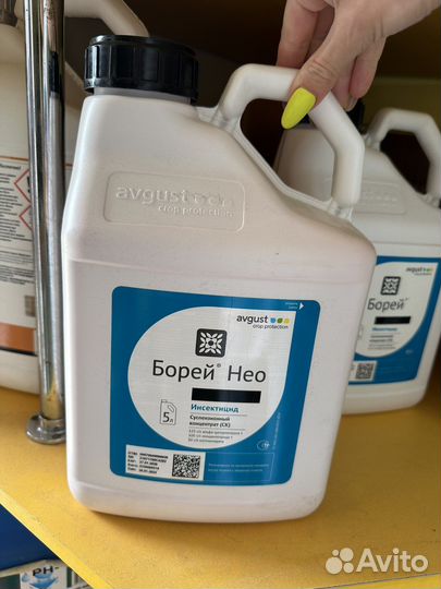 Борей Нео, ск