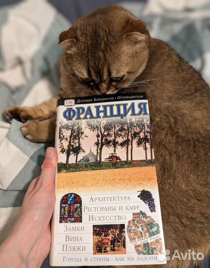 Путеводитель Дорлинг Киндерсли - Франция