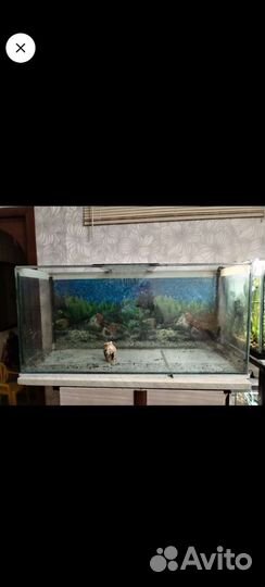 Аквариум
