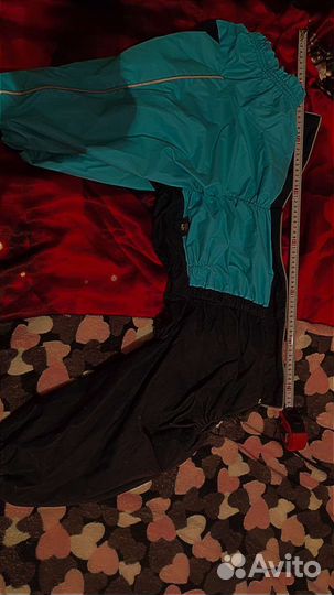 Одежда для крупной собаки