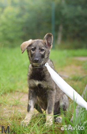 Малышам нужен дом