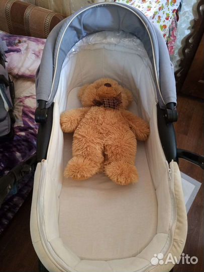 Коляска Adamex 2в1