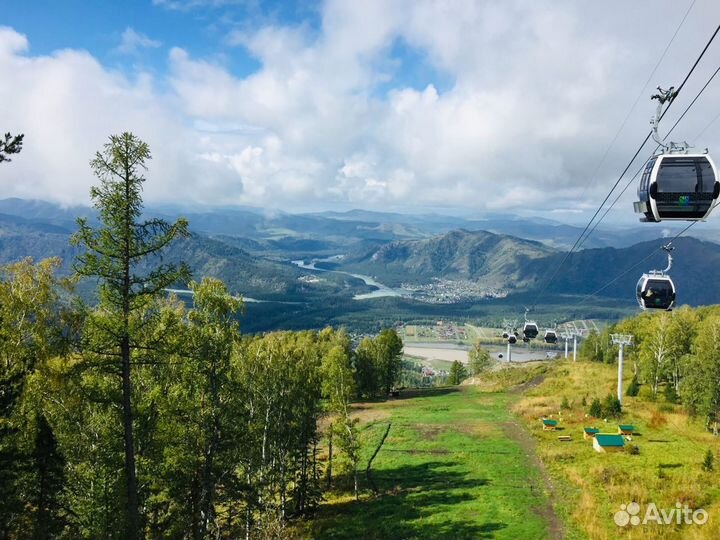 Туры в Алтай