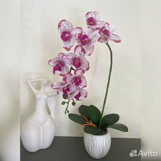 Орхидея в кашпо
