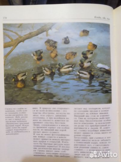 Фотоохота, книга