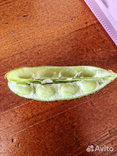 Полножирная соя