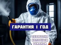 Уничтожение тараканов Дезинфекция