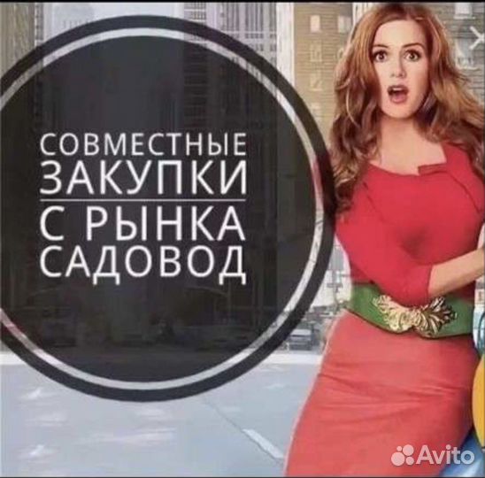Совместные закупки