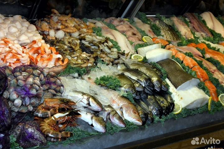 Готовый рыбный бизнес для вас