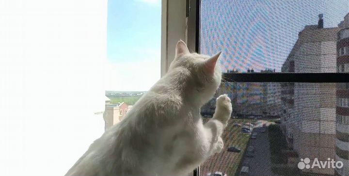 Москитная сетка