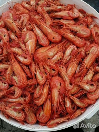 Краб Камчатский и другие морепродукты