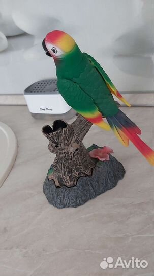 Игрушки. Ручной говорящий попугай