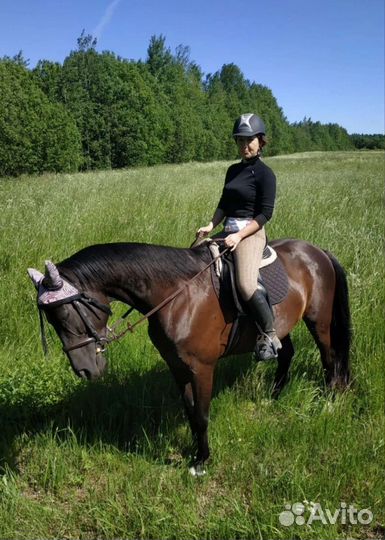 Лошадь в аренду