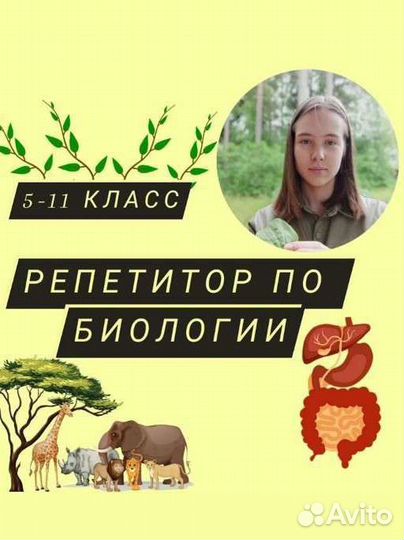 Подготовка к ОГЭ