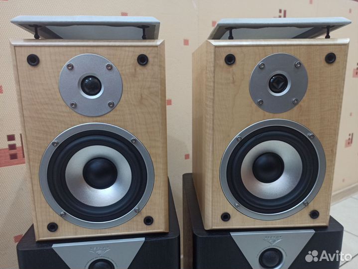 Vector HX210/Quadral quintas 500R