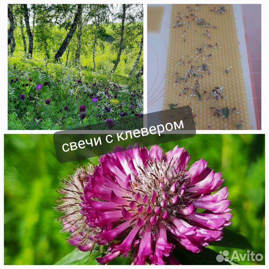 Свечи восковые медовые