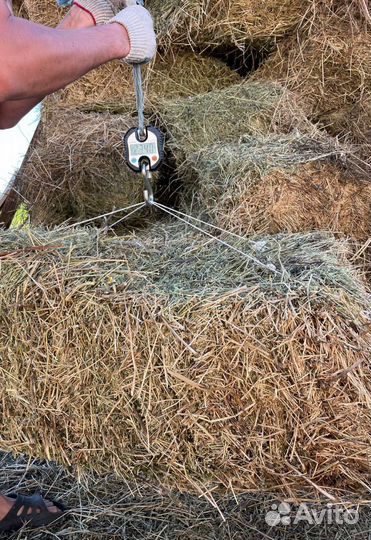 Сено в тюках