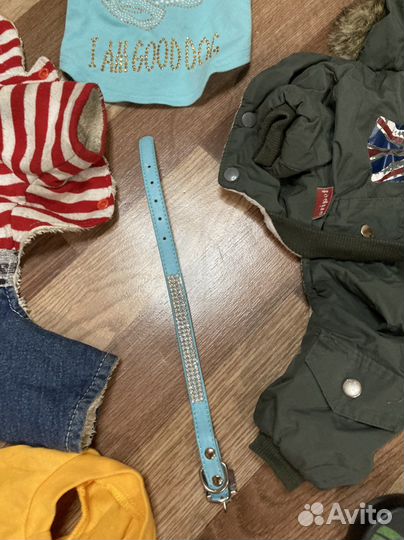 Набор одежды для собаки