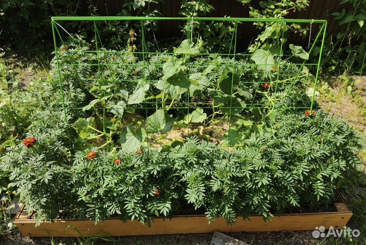Шпалера для огурцов и гороха