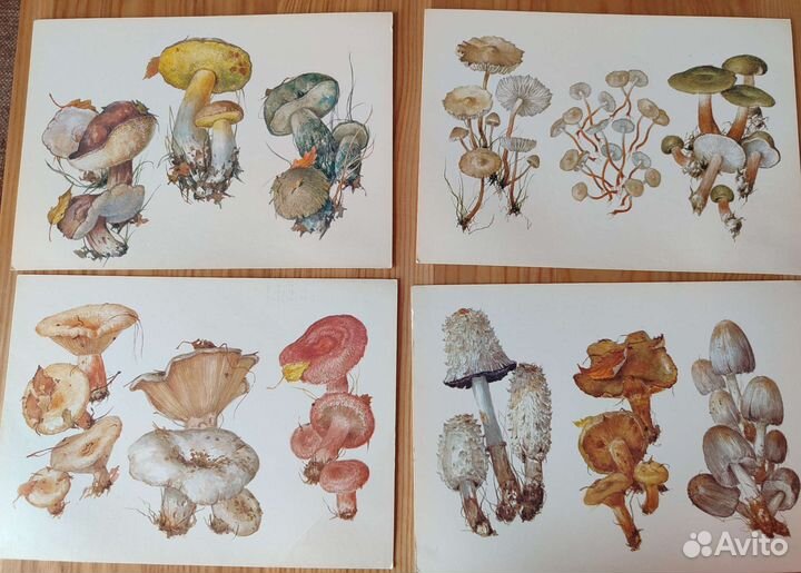 Набор открыток СССР А. К. Шипиленко 1990 гг