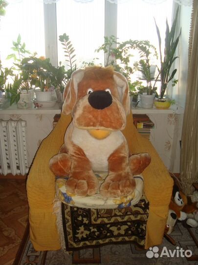 Большая красивая собака