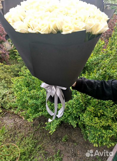 Букет роз. Розы 101 шт