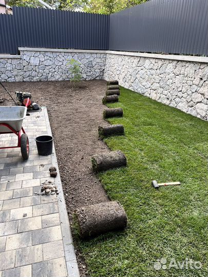 Рулонный газон