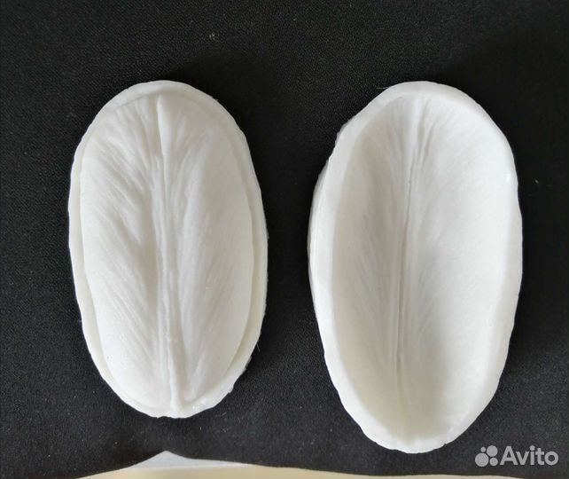 Вайнер тюльпан, анемон