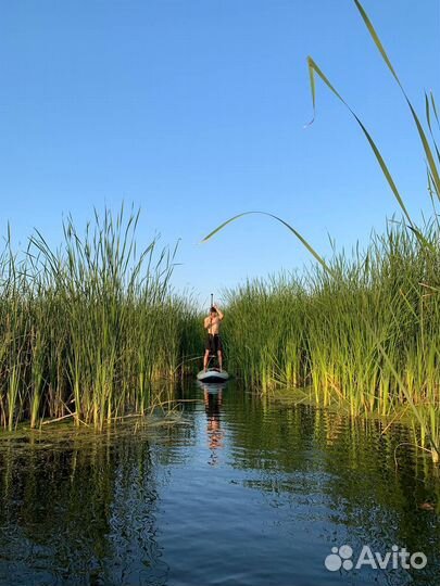 Корпоратив на сапбордах \ SUP