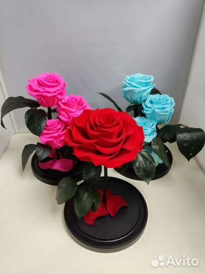 Подарок на новый год / Роза в колбе